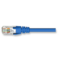 ICN Cat6 Patch Cable 50ft, Blue, Molded